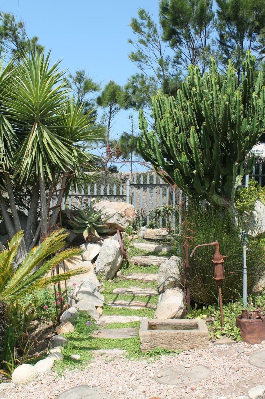 Aloe Ridge Διαμέρισμα Μόσελ Μπέι Εξωτερικό φωτογραφία