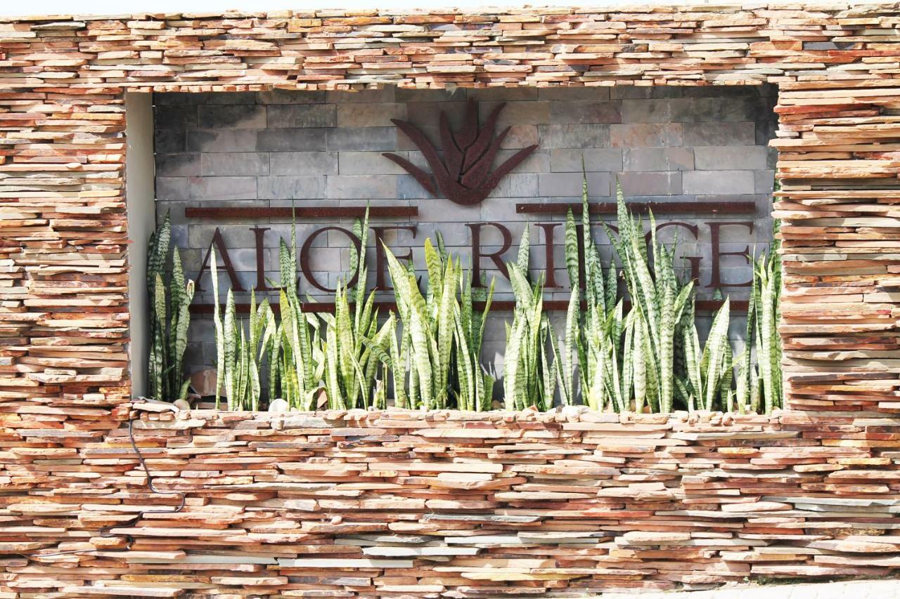 Aloe Ridge Διαμέρισμα Μόσελ Μπέι Εξωτερικό φωτογραφία